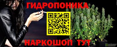 индика Камышлов