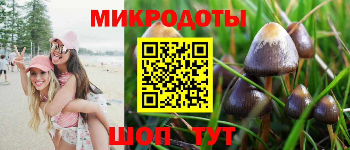 Галлюциногенные грибы Cubensis  Вход с VPN  Людиново  Галлюциногенные грибы прущие грибы 
